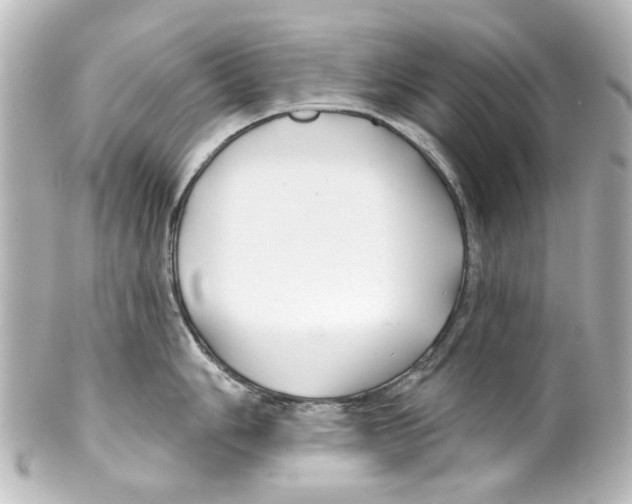 X0000100211006200806271700