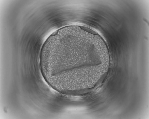 X0000100211007200806271700