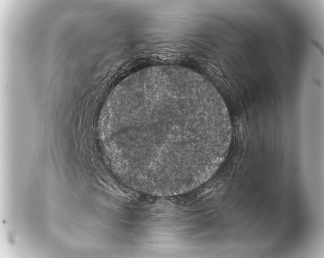 X0000100211009200806271659