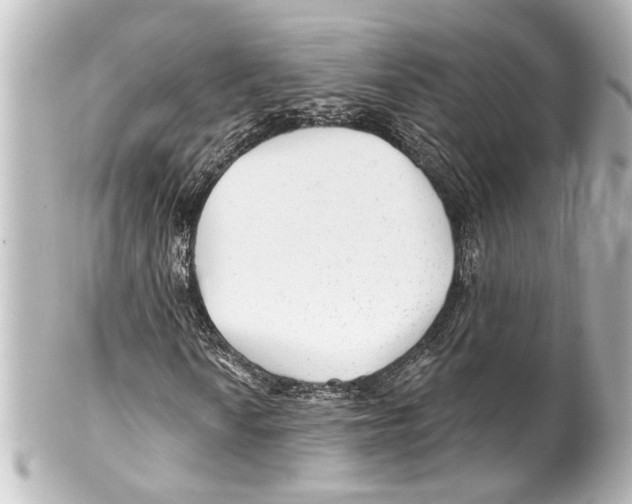 X0000100211010200806271659