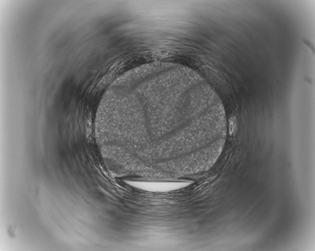 X0000100211011200806271659
