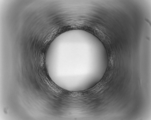 X0000100211012200806271659