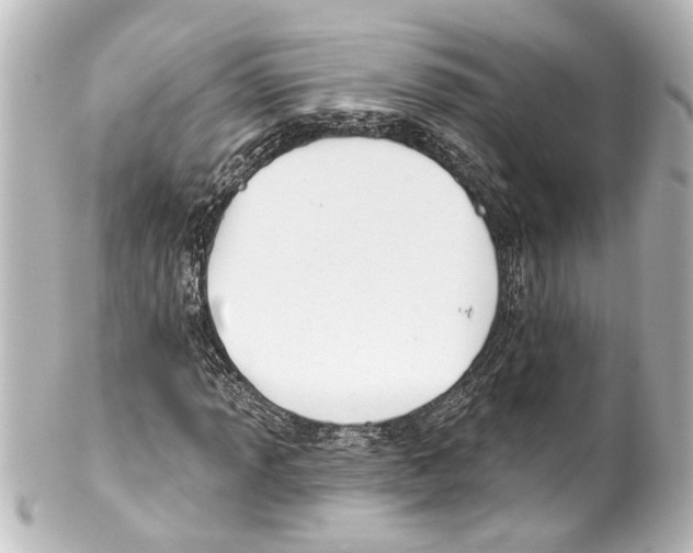 X0000100211013200806271659