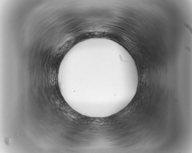 X0000100211014200806271659