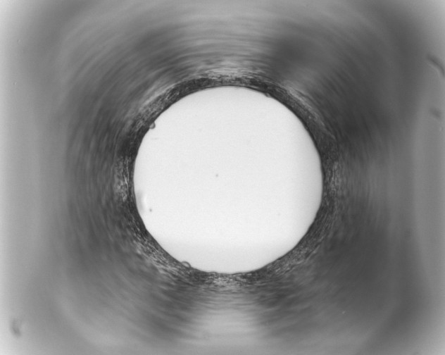 X0000100211015200806271659