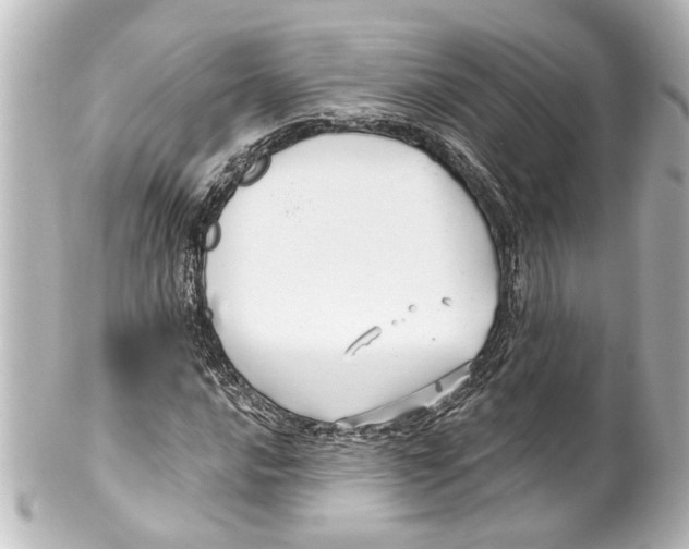 X0000100211016200806271659