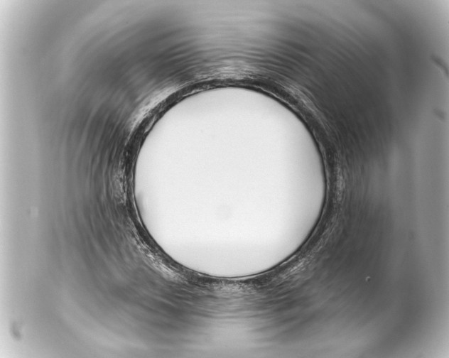 X0000100211018200806271659