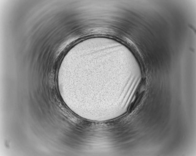 X0000100211019200806271659