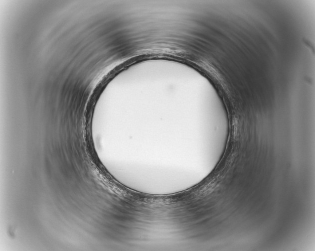 X0000100211020200806271659