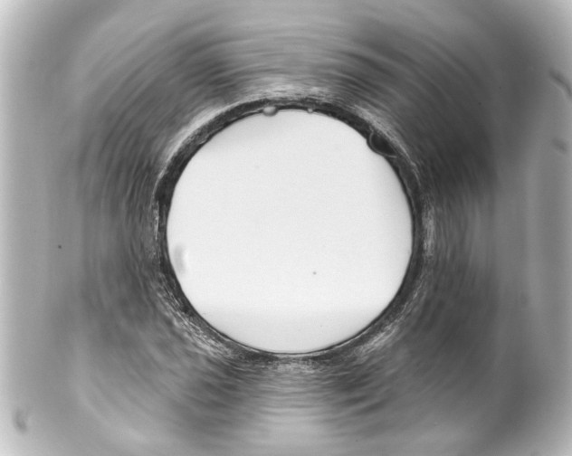 X0000100211021200806271659