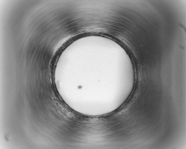 X0000100211022200806271659
