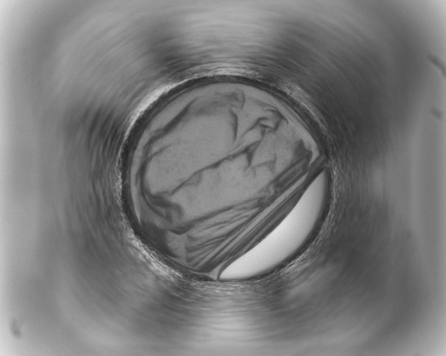 X0000100211024200806271659