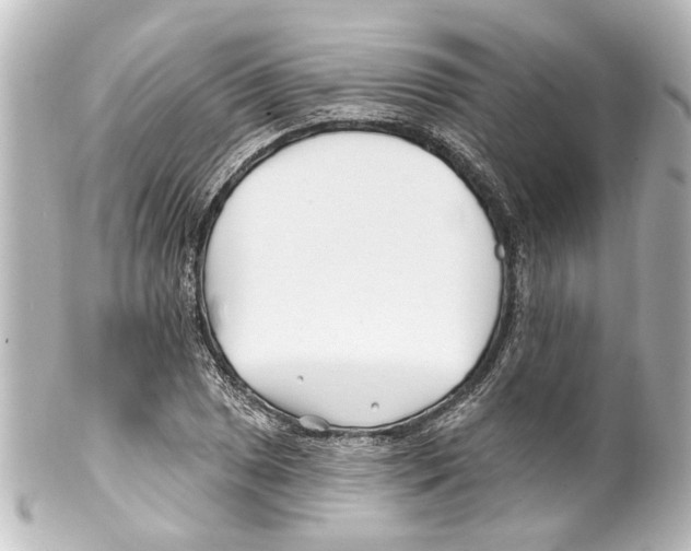 X0000100211025200806271659