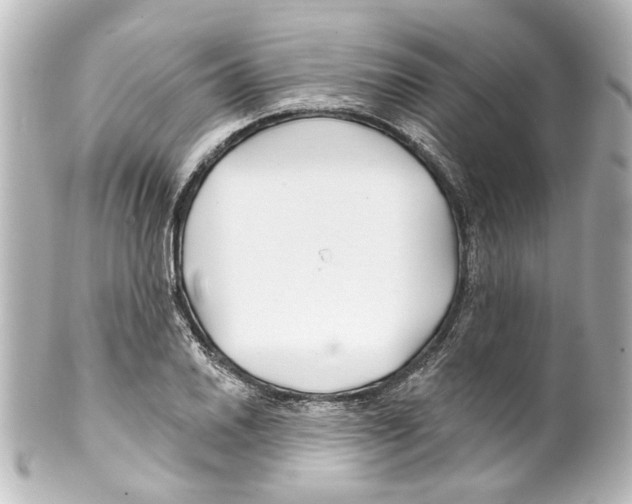 X0000100211030200806271700