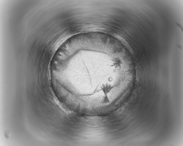 X0000100211031200806271700
