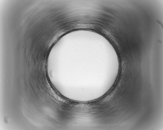 X0000100211033200806271700