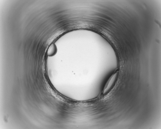 X0000100211034200806271700