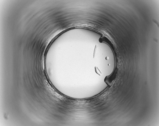 X0000100211036200806271700