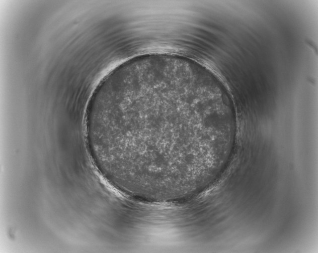X0000100211037200806271700