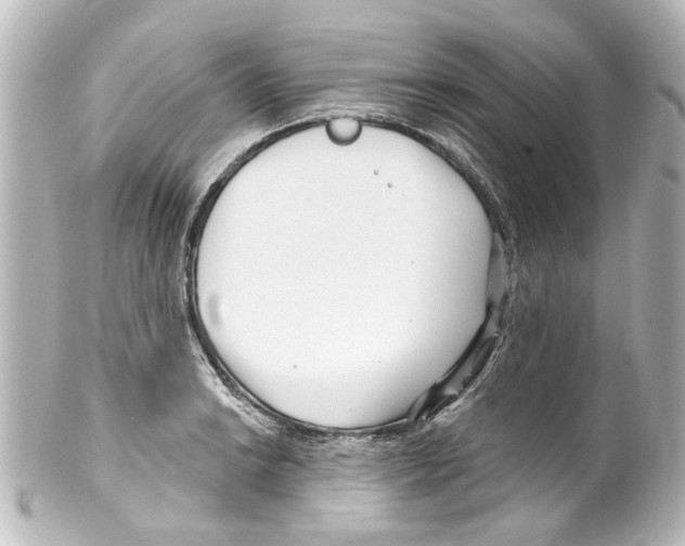 X0000100211038200806271700