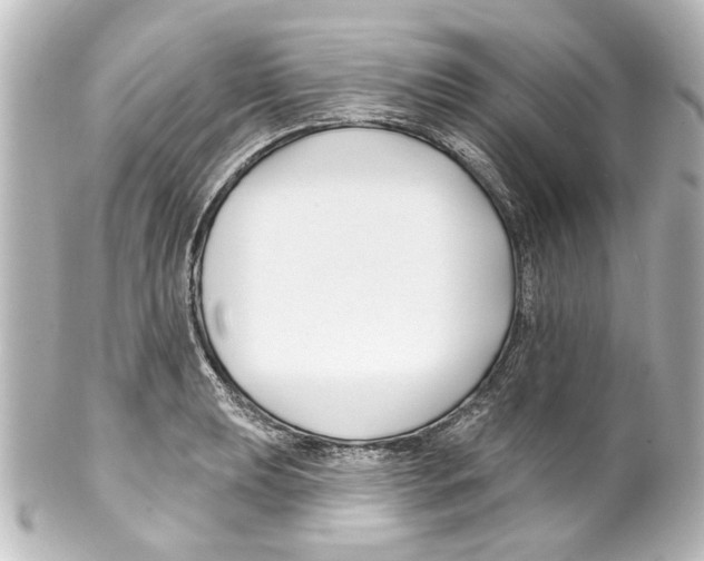 X0000100211039200806271700