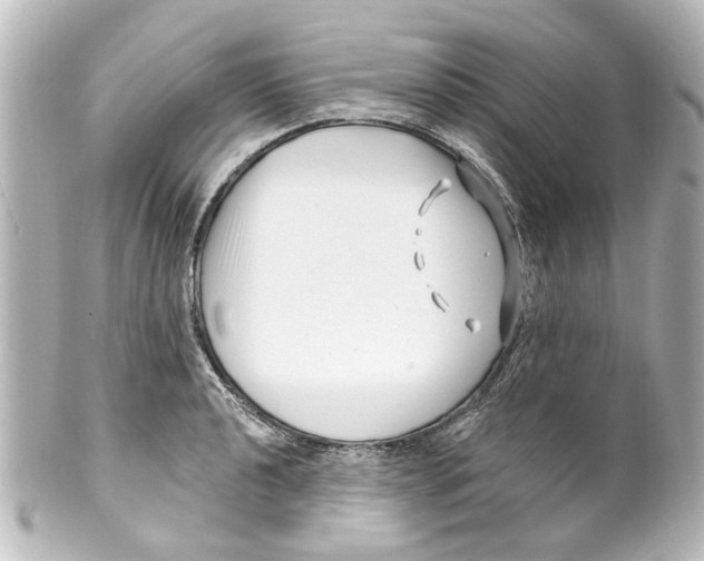 X0000100211040200806271700
