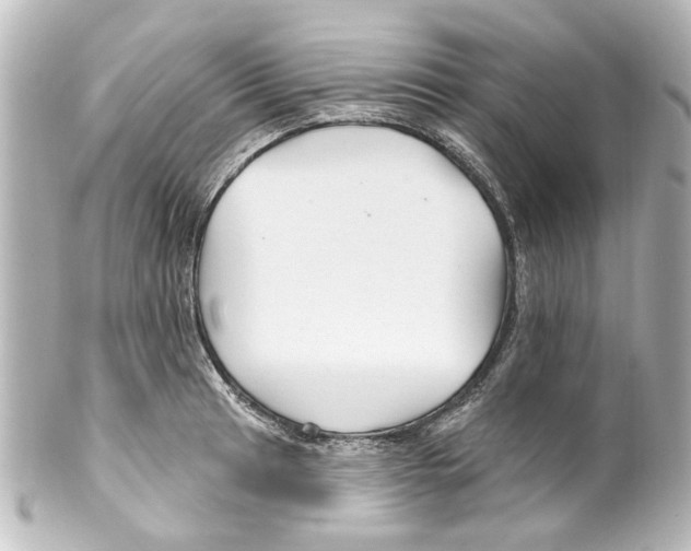 X0000100211041200806271700