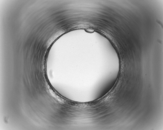 X0000100211042200806271700