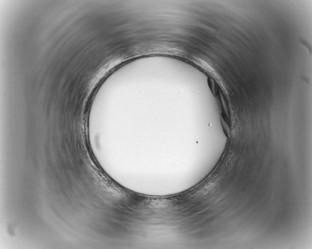 X0000100211043200806271700