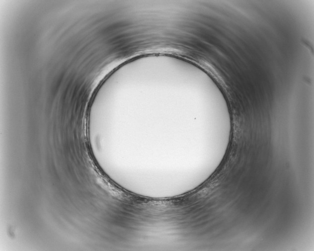 X0000100211044200806271700