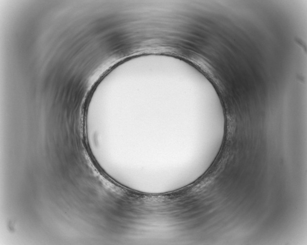 X0000100211046200806271700