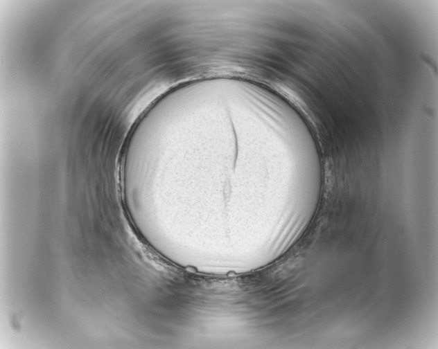 X0000100211047200806271700
