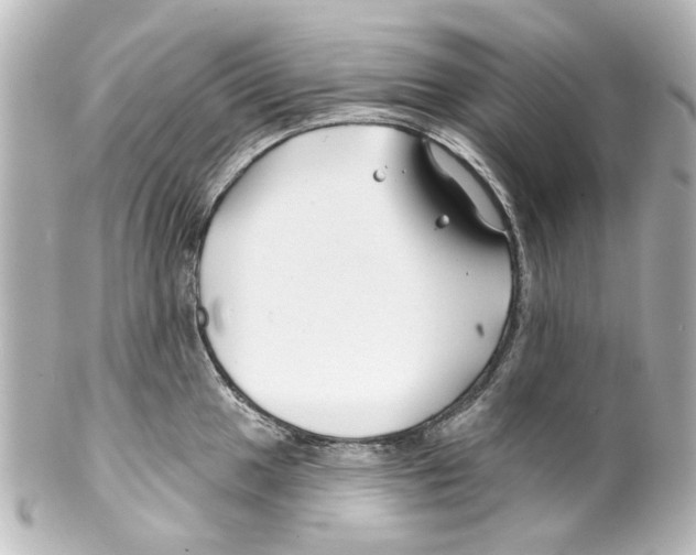 X0000100211049200806271700