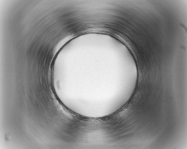 X0000100211050200806271700