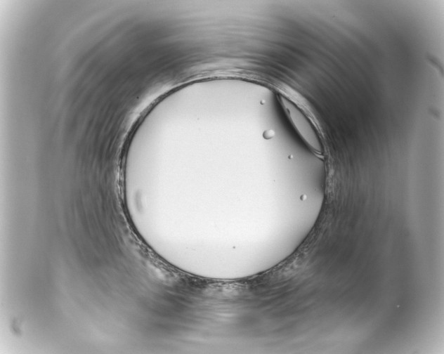 X0000100211051200806271700