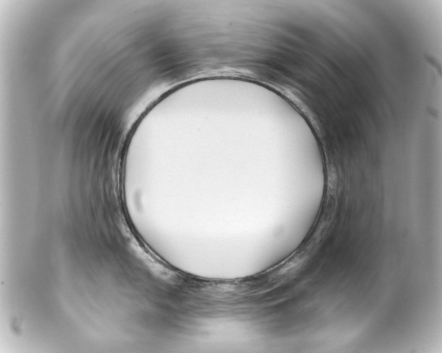 X0000100211054200806271700