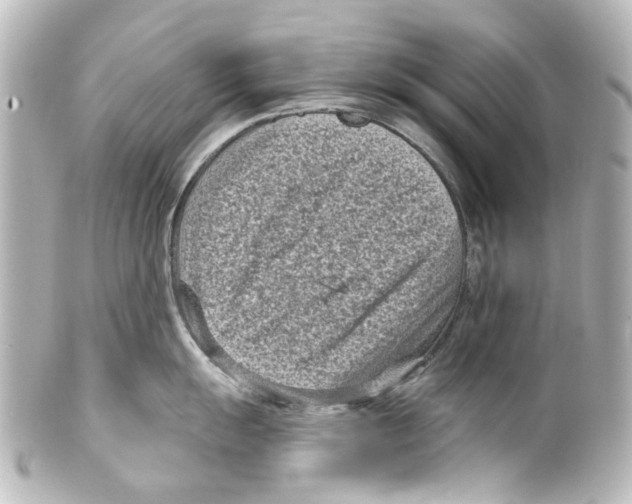 X0000100211055200806271700