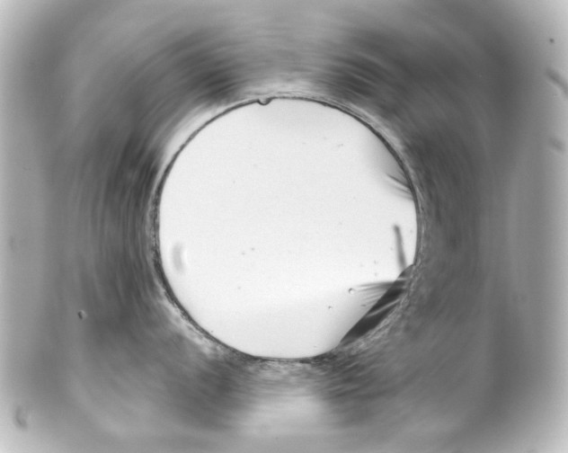 X0000100211056200806271700