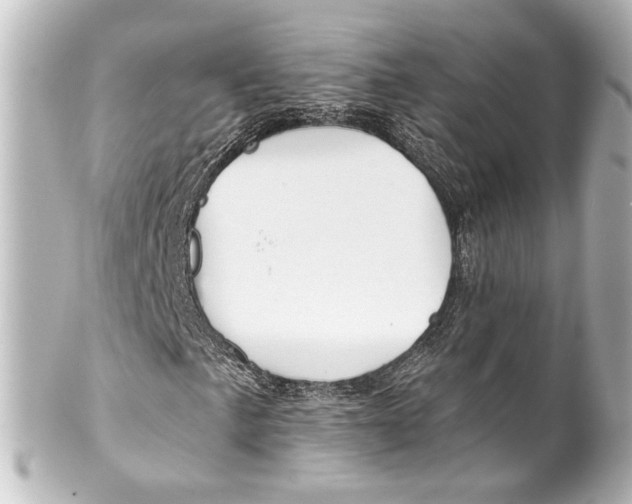 X0000100211057200806271659