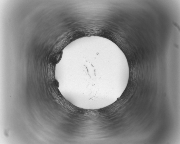 X0000100211058200806271659