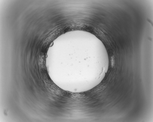 X0000100211059200806271659
