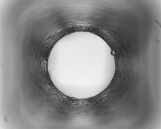 X0000100211061200806271659