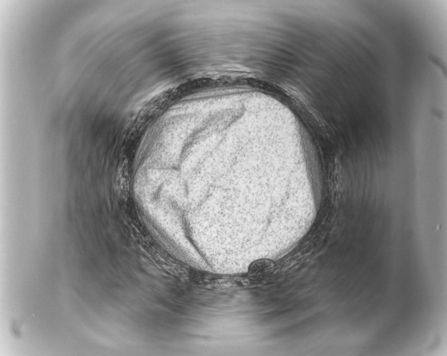 X0000100211063200806271659