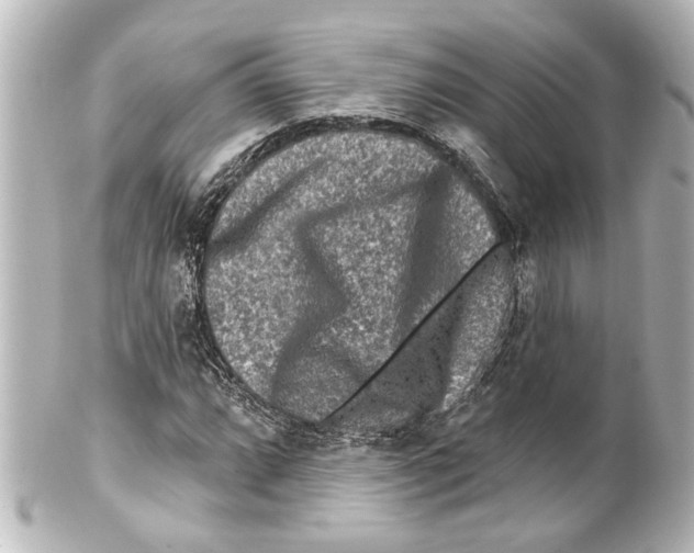 X0000100211064200806271659