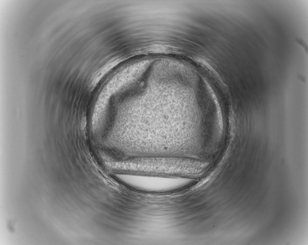 X0000100211065200806271659