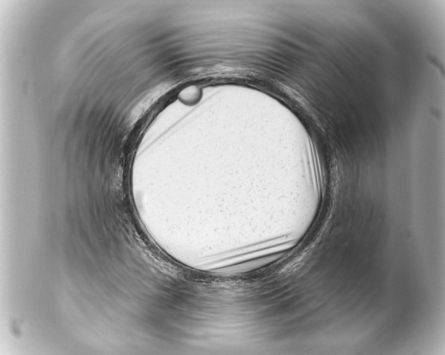 X0000100211066200806271659