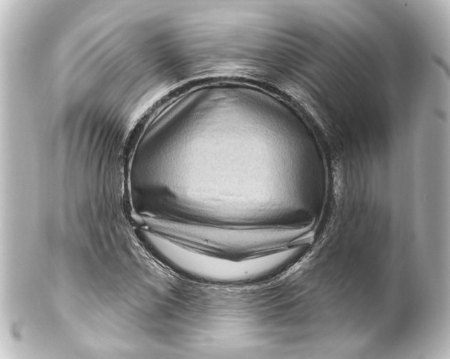 X0000100211069200806271659