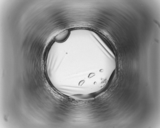 X0000100211072200806271659