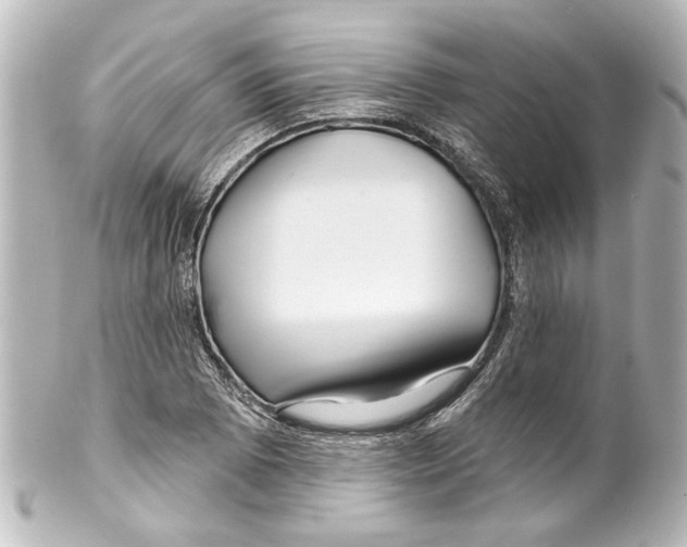 X0000100211073200806271659