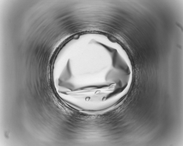 X0000100211076200806271659